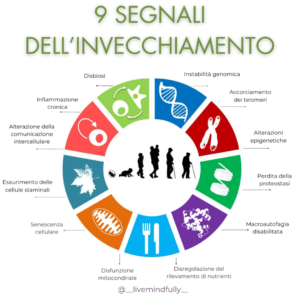 Le 9 caratteristiche biologiche e molecolari dell'invecchiamento