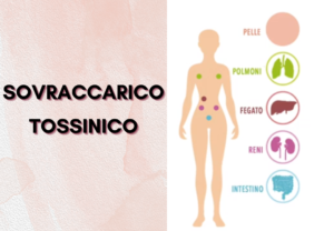 Sovraccarico tossinico: come riconoscerlo dai segnali del corpo